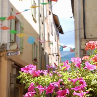 bloemen in een steeg