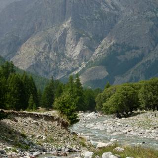 rotsen in een rivier in een berglandschap