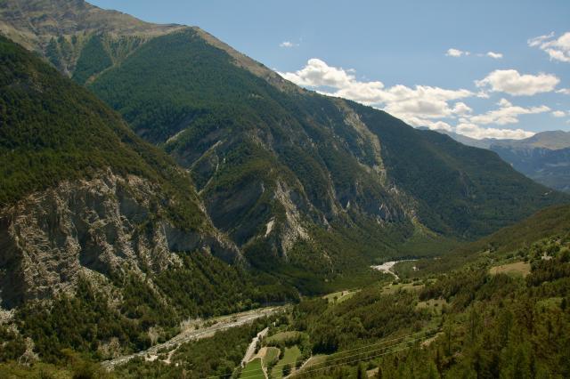 beboste bergen