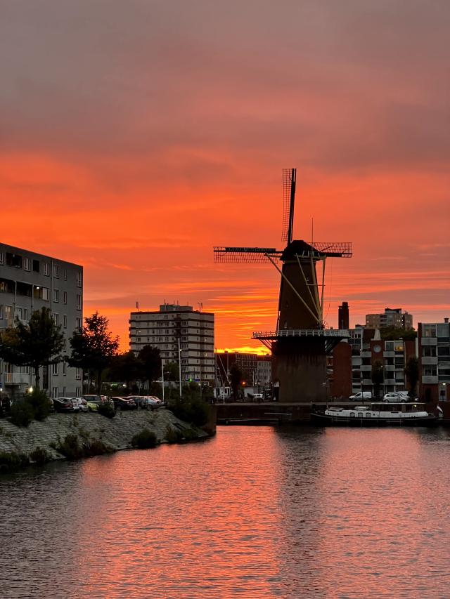 molen tegen een rode lucht