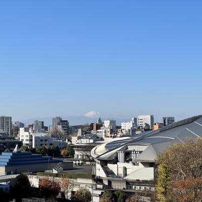 uitzicht over Tokyo met in de verte Mount Fuji