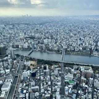 zicht over de dichte bebouwing van Tokio