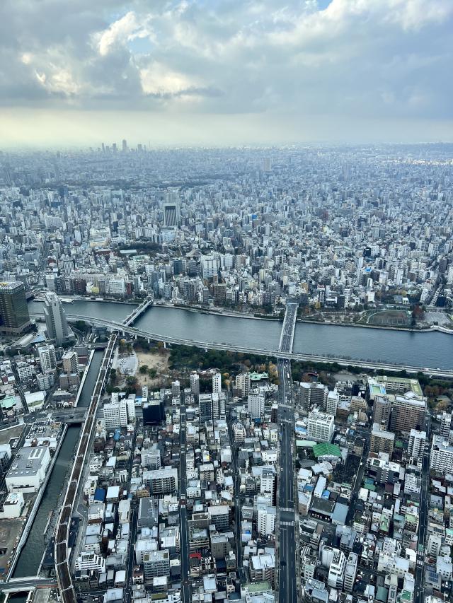 zicht over de dichte bebouwing van Tokio