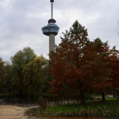 vijver met bomen in herfstkleuren met op de achtergrond de Euromast