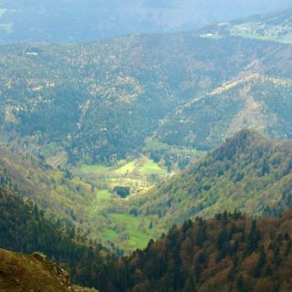 uitzicht de groene vallei in