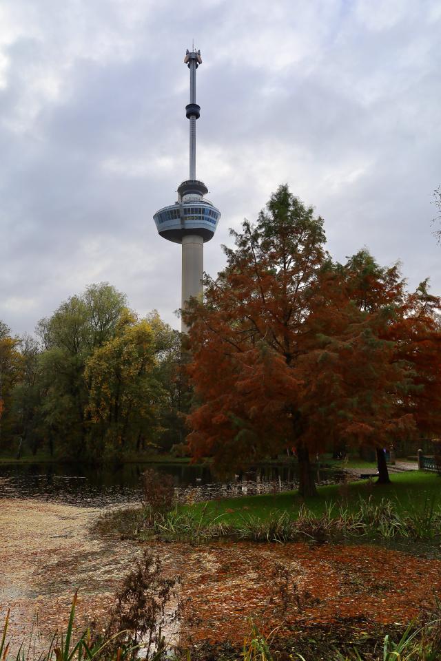 het park in herfstkleuren