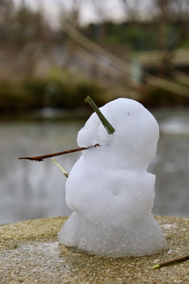Kleine sneeuwpop met takken als armen en neus op een steen bij water.