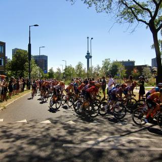 Wielrenners in een race door een stad, omringd door toeschouwers en bomen, met een toren in de verte onder een blauwe hemel.