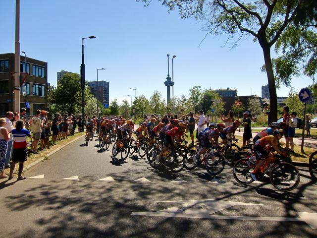 Wielrenners in een race door een stad, omringd door toeschouwers en bomen, met een toren in de verte onder een blauwe hemel.