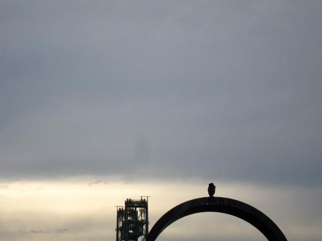 Silhouet van een vogel op een boog met een toren in de verte onder een grijze hemel.