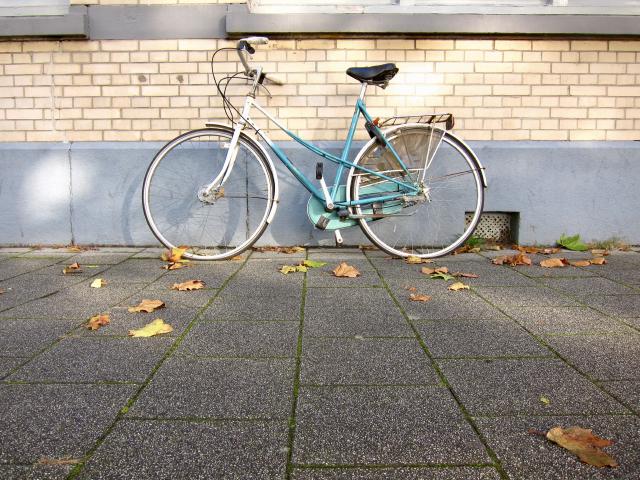 Blauwe fiets met mandje tegen een bakstenen muur, omringd door herfstbladeren op een betonnen stoep.