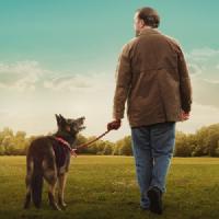 filmposter van seizoen 3 van After Life